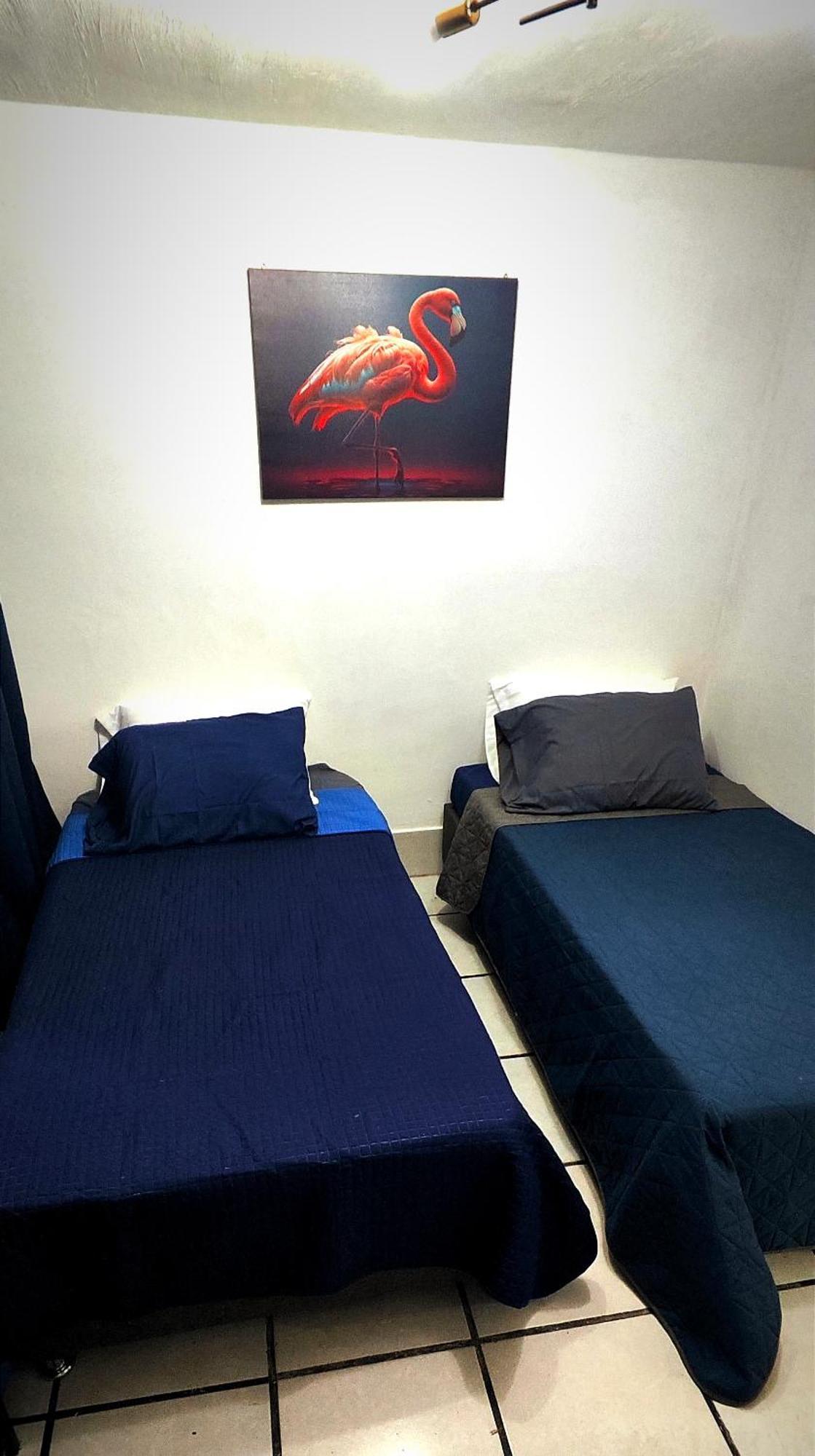 Casa Camila Zapopan Villa Guadalajara Luaran gambar